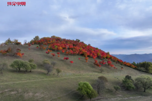 9.22-9.27,10.1-10.6徒个中国·吉林｜徒步吉林长白山彩林、登天池之巅