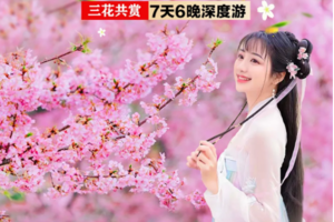 【滇东南花色】元阳梯田-罗平油菜花-九龙瀑布-加级寨万亩梨花-宜良万亩樱花-蒙自碧色寨-西南联大旧址-石屏古城-异龙湖-