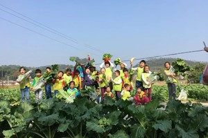 【乡村小农夫亲子】1月20/21日 去乡野尽情撒欢~刺激卡丁车、丛林穿越、CS精英战场，采摘“菜心之王”迟菜心、挖红薯烤