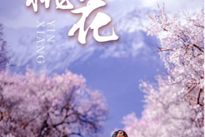 林芝桃花6天5晚之旅
