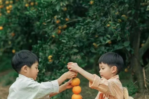 【从化欢乐户外独立营1天】1月21、24、25日从化探访腐竹手工作坊制腐竹摘吕田大芥菜、寻找水晶矿石、采摘沙糖桔、做