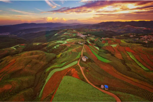 【云端花海滇东南6天】东川红土地.罗平油菜花.蒙自碧色寨.元阳梯田.建水古城.抚仙湖