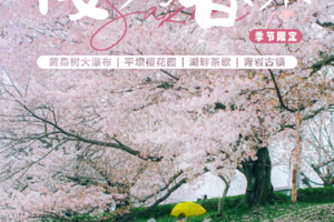 【漫享·樱为春来】3月15日/17/19/21日出发|共四期遇见山水间平坝万亩樱花园4天3晚--贵州花季限定