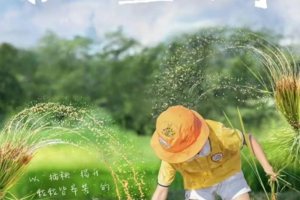 4月26日【插秧正当时】增城泥趣满春田，一起做快乐农夫插秧、了解五谷由来、采摘农场时令长桑葚、挖土豆！