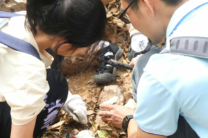 【五一假期水晶猎人亲子/独立营自驾1天】5月1/2/3/4/5日|春日奇遇记：水晶猎人森林探秘之旅，敲开地球的月光宝盒！