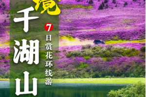 【秘境千湖山】千湖山花海-秘境无底湖-《司藤》纳帕海-白马雪山-梅里日照金山-茨中教堂-傈僳同乐村-攀天阁-国宝滇金丝猴