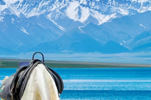 6天5晚青海亲子营｜体验感拉满的青海湖环游，get草原骑马、盐湖旅拍、花海骑行、峡谷徒步、大河漂流