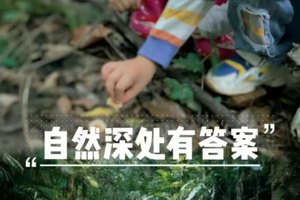 【青梅竹马从化亲子自驾】5月周六、日及端午节|从化轻徒步伐竹、竹子小课堂、制作竹筒饭、采摘青梅酿青梅酒、自制竹节人一天！