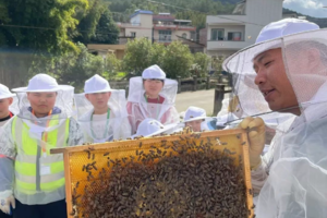 【蜜蜂偶遇记亲子自驾1天】增城5月每周六、日端午|一起走进户外蜜蜂王国、了解蜜蜂、认识时令草药、制作夏日驱蚊膏、