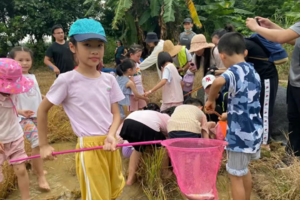 【增城农耕亲子1天】5月2日 增城｜乡村游~沙滩放风筝、植树、稻田赶鸭捉鱼、泥包鸡、艾叶糍粑、豆浆、采摘石榴