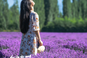 【绝色新疆-醉美伊犁9日】赛里木湖 喀拉峻全景 巴音布鲁克日落 吐鲁番沙漠 独山子大峡谷 薰衣草 伊犁全景游