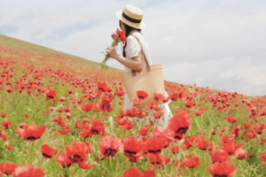 【绝色新疆-天山红花7日游】2-6人小团 S101网红国防公路 唐布拉 天山红花 苹果花 赛里木湖 库尔德宁 那拉提空中