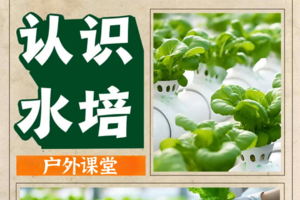 【童趣水培亲子自驾】增城5月每周六、日、端午均开营，增城走进水培蔬菜世界、探秘水培奥秘、了解太空蔬菜、水培蔬菜沙拉派对！
