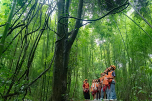 【2025贵州·6天5夜亲子游】“勇往直黔”，天眼逐梦苍穹，领略诗意山水，解锁多彩民族，天文、地质、民族、自然全方位探索