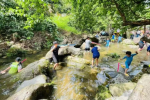 成行【从化桨板溯溪亲子2天】5月31-6月1日|端午不挤人！去流溪河玩SUP桨板，在静谧乡村小溪打水仗！