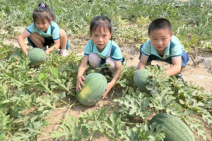 【亲子1天】6月1日 肇庆｜端午~乡村包粽、烧鸡、手工制龙舟摘鲜甜西瓜辣椒抛渔笼捕鱼+山涧嬉溪水+种花生￥238/19