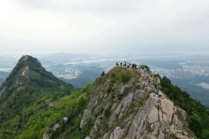 【神湾丫髻山】周六、日 | 打卡中山版小华山，深入神湾菠萝产地，体验摘菠萝乐趣，品尝菠萝美食/饮品