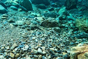 英德趣玩玻璃水自驾1-2天任选｜桨板溯溪摸螺，吃走地鸡住山景民宿，承包今夏最清凉的周末！10人成行