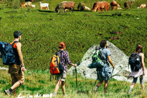 【绝色新疆-伊犁徒步8日】2-14人徒步团 赛里木湖 阿克塔斯 穿越喀拉峻 穿越恰西草原 库尔德宁 琼库什台