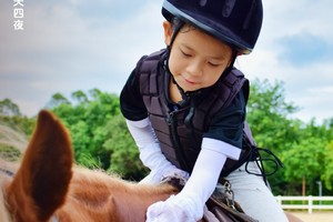 精英马术夏令营 | 高性价比，一对一马术专业课，零基础可学！