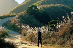 【夜登大南山1天1夜】周五晚、周六晚 |  悠然见南山，徒步穿越广东迷人高山草甸，行走于云端天际间，勇敢者的打卡胜地。（