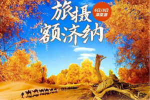 【旅摄额济纳•高铁线6日/8日】莫高窟-鸣沙山-额济纳胡杨林-弱水金沙湾-黑城怪树林-沙漠日落-居延海-金塔胡杨林6日
