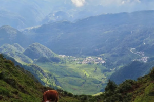 【凉都六盘水双动6天】省内避暑天花板，贵州也有自己的阿勒泰！