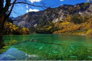 2025暑假 九寨沟、黄龙、若尔盖大草原、扎尕那7日