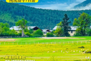 2024年国庆静谧香巴拉丨云南大理 丽江玉龙雪山 香格里拉精品7日游