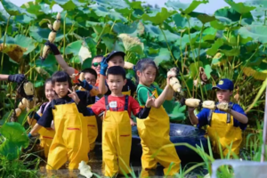 【荷塘‘藕’遇记】9月周六、日增城‘藕’遇，变身小泥人、一起了解莲藕的一生、荷塘趣挖藕、尝藕美食、趣味实验小课堂，亲子半