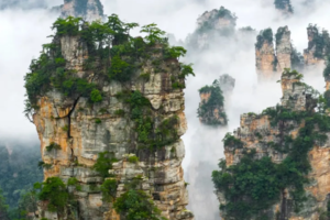 成行1688元【探索湖南】8.20出发过不一样的假期，探秘张家界+凤凰古城郴州仰天湖草原+长沙美食+橘子洲头5天精华游！