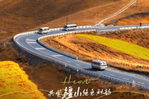 【绝色新疆-独库喀伊8日】喀纳斯 独库公路 赛里木湖 巴音 白哈巴 禾木 五彩滩 乌尔禾胡杨林 魔鬼城 深度北疆环线