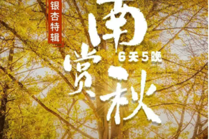 【云南赏秋·小城银杏特辑】6天5晚｜一年一度云南秋季限定，一次玩遍滇西精华