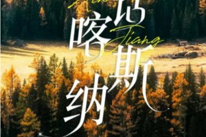 【童话新疆·6人小车团·童话喀纳斯8日】赛里木湖(VIP景区直通车)、天池、可可托海、喀纳斯、禾木村、魔鬼城秋季