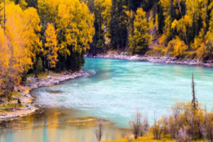 【童话新疆·6人小车团·天山以北10日】S21+S101+独库公路、喀纳斯、禾木、赛湖、喀拉峻、那拉提、唐布拉、巴音秋季