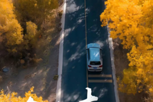 【童话新疆·6人小车团·金色南疆】罗布人村寨+塔里木胡杨、石头城&金草滩、瓦罕走廊、盘龙古道、班迪尔蓝湖、喀拉库勒湖9日