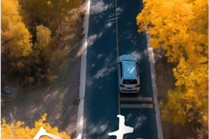 【童话新疆·6人小车团·金色南疆】罗布人村寨+塔里木胡杨、石头城&金草滩、瓦罕走廊、盘龙古道、班迪尔蓝湖、喀拉库勒湖9日