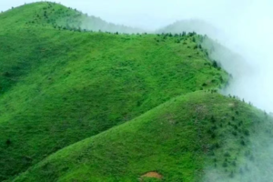 8.30成团！【夜爬·特种兵系列】【华南第二峰真宝鼎】穿越华南第二峰真宝鼎， 广西版 “那拉提” 高山草原