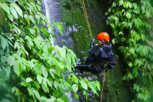 【2025国庆·腾冲亲子营】高黎贡山生物多样性，攀树挑战，探秘火山热海奇观，茶马古道徒步7天6晚研学之旅