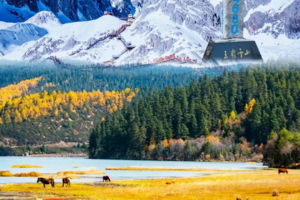 【静谧香巴拉】10.01-07丨云南大理 丽江玉龙雪山 香格里拉精品7日游