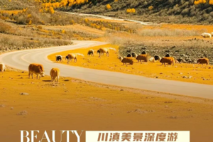 【纵情山野 穿越稻亚】丽江+虎跳峡+香格里拉+稻城亚丁+泸沽湖双飞纯玩7日游