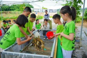 国庆撒欢独立营3天 | 10月1-3/4-6日|种地吧少年！沾一身泥巴，换满心阳光！