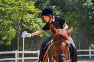 国庆马术营 | 10月2日-6日，高性价比，一对一马术专业课，零基础可学！