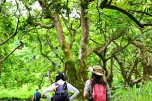 广州溜娃新去处魔幻森林亲子1天 | 9月27/10月1、3、5日勇闯增城魔幻森林，亲子徒步，手捞珍珠蚌、制作饰品、非遗螺