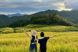 【醉美赏秋2天】周六、国庆每天出发｜住进梯田里+送瑶寨长桌宴！金色大地“欧家梯田+黑山梯田”，千亩银杏林，千户油岭瑶寨，