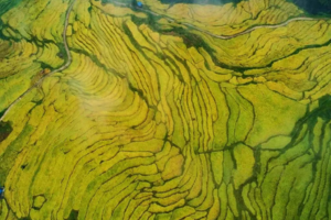 【秋摄连南】周六、国庆每天出发｜邂逅金秋欧家梯田，拍摄清远福地~洞天仙境，探访连南千年瑶寨，体验瑶族长桌宴+篝火晚宴