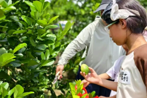 10月6/8日【户外撒野】水枪大作战+香水柠檬采摘+浑水摸鱼+恐龙竞跑，玩转自然课堂！
