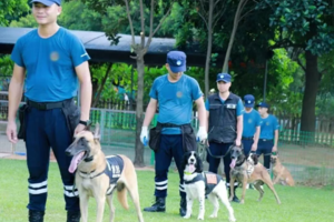 10月5/7日【小小驯犬师】探秘特殊犬的世界，了解不同工作犬的技能，与狗狗近距离互动！