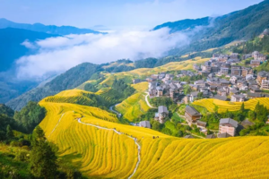 10.24-26成团！最后一期【深度龙脊黄姚3天】稻谷黄了，深度游龙脊梯田最美秋色，诗画千年黄姚！