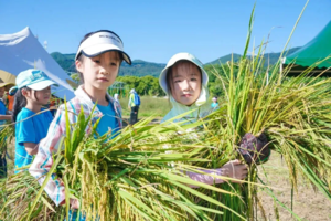 【10月19/25日】秋收农耕营，从稻穗到餐桌，让孩子读懂 “珍惜” 的意义，可班级定制秋游
